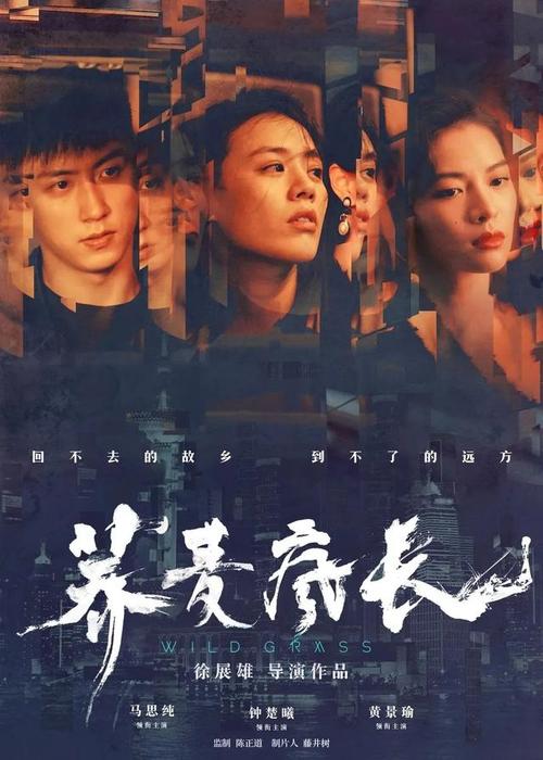 雷丁大学 Media diploma